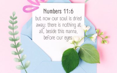 Numbers 11:6
