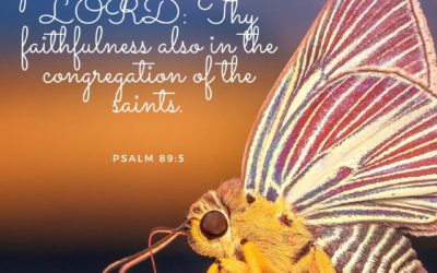 Psalm 89:5