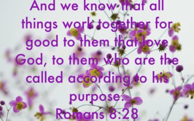 Romans 8:28