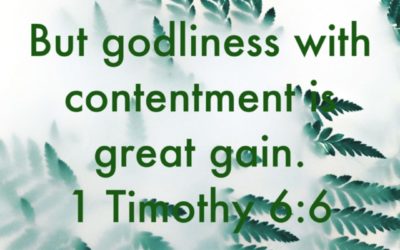 1 Timothy 6:6