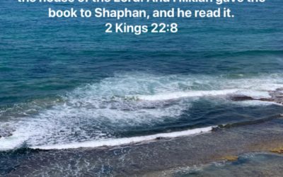 2 Kings 22:8