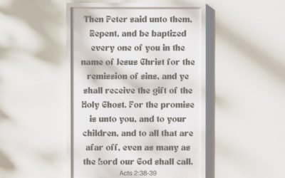Acts 2:38-39