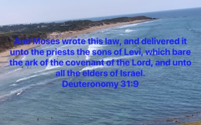 Deuteronomy 31:9