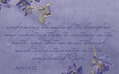 Acts 14:22
