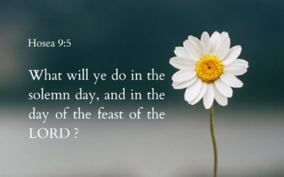 Hosea 9:5
