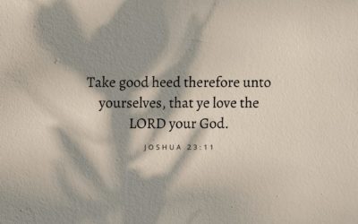 Joshua 23:11